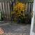 1 Bedroom Apartment for rent at York Mills Road and Don Valley Parkway 4 thumbnail