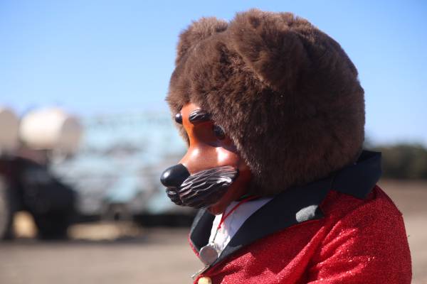 ROBERT RAIKES teddy Bear Ring master 1