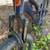 Ibis Exie size XL, XT build, mint condition 9 thumbnail