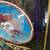 Grateful Dead Original Poster 1978 “On The Road” Kelley / Mouse 8 thumbnail