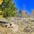 !!Buildable Lot on 1.9 acres for Sale in Park County 3 thumbnail