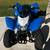 2020 Honda TRX 250X  - Blue 3 thumbnail