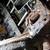 Real shop, Clutches, Engines, Heads, Timing belt, 43yr Master ASE 13 thumbnail