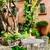 Apartment in Centro of San Miguel Allende for rent 20 thumbnail
