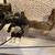 Buckmasters G2 compound bow 7 thumbnail