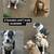 3 female bullies 4 thumbnail