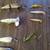 Fishing Supplies 4 thumbnail