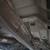 Arizona Rust Free Pickup parts, Ford, Dodge, Toyota, Subaru 7 thumbnail