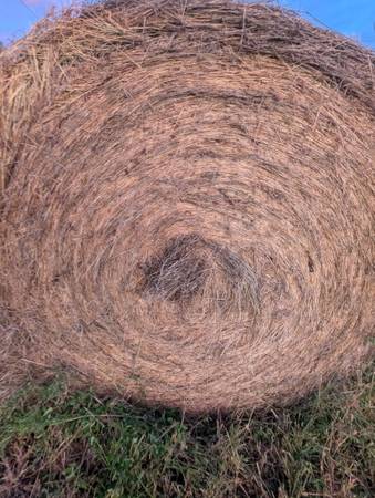 Grass Bales 1