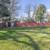 Serene 3BR/1BA Rental with All Utilities Included 14 thumbnail