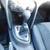 2016 Dodge Dart  SE Sedan 4D Sedan 13 thumbnail