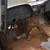 Chevy 1960 to 1966 truck parts and whole vehicle 18 thumbnail