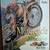 18 Misc. Motorcycle Related Books Great Deal! 2 thumbnail