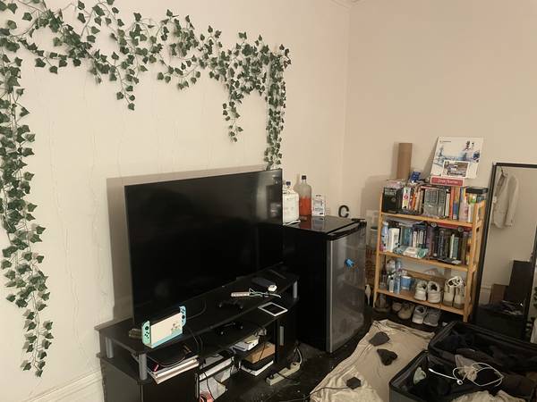 Large Room in Large Flat Available 1