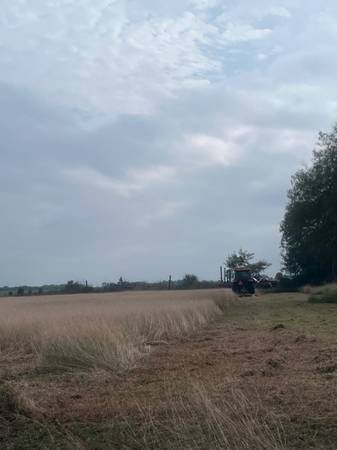 Tractor Shredding Available Valleywide 1