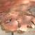 Mesquite "Burl" Accent Table 6 thumbnail
