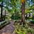 RIVER FRONT FIXER UPPER 2BD 1BA MOBILE $5K DN $1095 MO 4 thumbnail