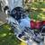 2008 Goldwing Trike, 48,550 odo 4 thumbnail