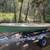 Laser sailboat 3 thumbnail
