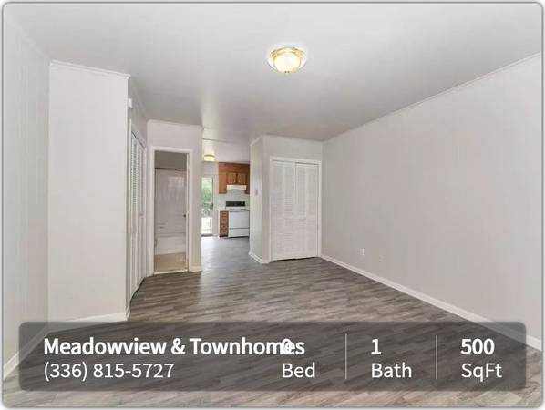 $925 / 500ft2 - Come Home to Comfort: Where Every Corner Invites and Delights! (Greensboro)64027276843394120