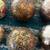 10 Decorative Pier 1 Balls 3 thumbnail