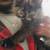 Beautiful kitten needs home, small rehoming fee 1 thumbnail