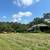Multi-Use Farm Property with Residence on 115 Acres +/-  Auction 9 thumbnail