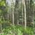 1.05 Acre lot with electricity near by, off Funny river road 9 thumbnail