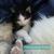 Rehoming 8 week old kittens--UPDATED 11/20 6 thumbnail