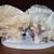Seashell Centerpiece Entryway Conch Shell Coastal Art Table Decor 3 thumbnail
