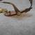 Chanel 4002 c.116/74 54 19 130 Rimless Sunglasses Shades 5 thumbnail