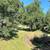 Fully Remodeled 3 bed, 2 bath house with Carport & Yard! 24 thumbnail