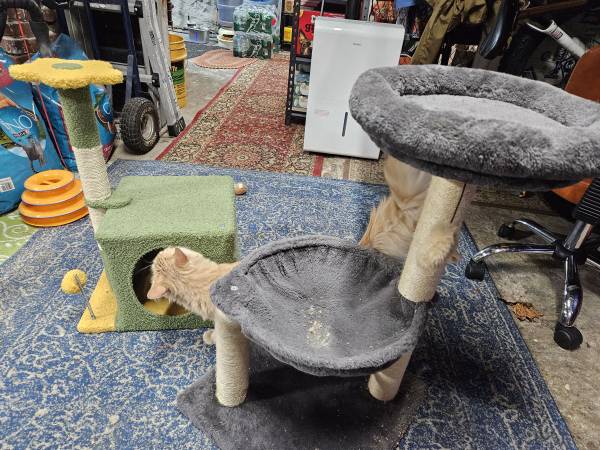Cat trees 1