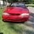 1994 Mustang Cobra Indy Pace Car Edition - $14,000 (Cogan Station) 2 thumbnail