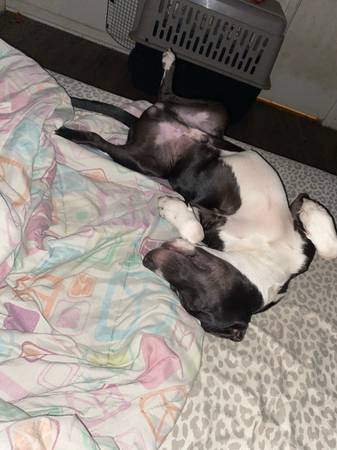 Buck (Wichita Falls)63852006974721122