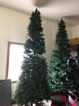 12 foot Christmas trees 1