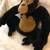 E & J Classic Limited Prima Collection Very Plush Black & Brown Monkey/Ape 9 thumbnail
