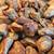 Freeze Dried Single Ingredient Dog Treats 5 thumbnail