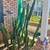 Free Jade Plants and Cactus 5 thumbnail