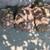 Tortoise sulcata 7 thumbnail