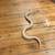 1.8 years old female albino conda hognose snake 4 thumbnail