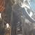 1000 TON MECHANICAL PRESS 5 thumbnail