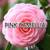 PERFECT IN PINK  (BATH AND BODY WORKS) 5 thumbnail