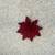 Poinsettia throw pillows 2 thumbnail