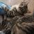 Cute and sweet socialized kittens  $30 3 thumbnail