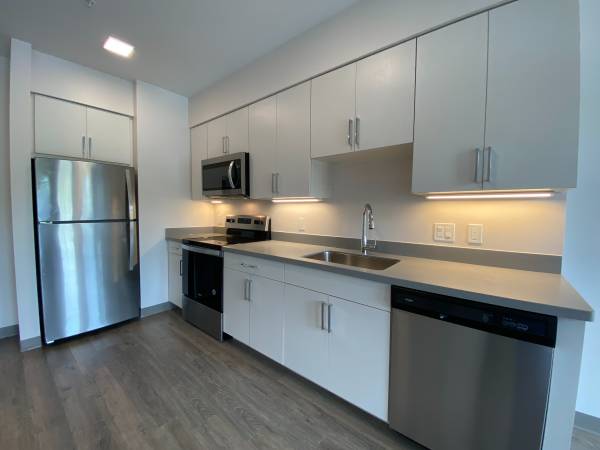 $1,805 / 1br - 588ft2 - Love Where You Live at 409 Elm! Enjoy 2 Free Months of Rent! (409 Elm)63931659891459123
