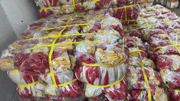 Red working gloves  240/Pairs for  55.00. 1