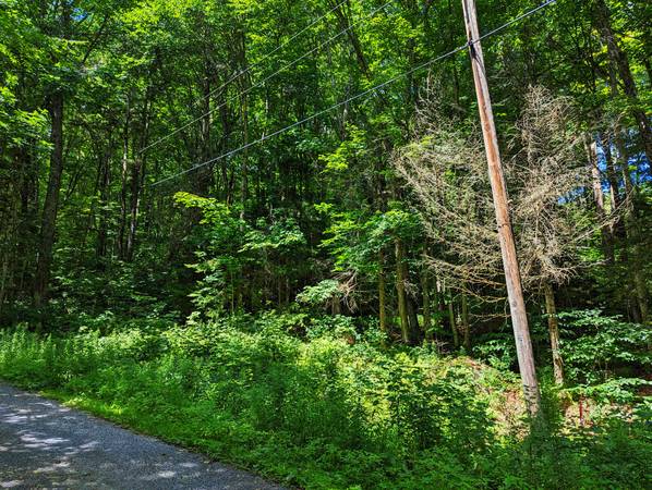 Lote elevado para construcción de $16,000 en un barrio pintoresco del sur de Vermont (Readsboro, VT)63184501934979121