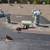 Great Roofer ~ Just Did My Home - Wonderful Work! 4 thumbnail