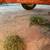 Heider Silage-Grain Wagon 5 thumbnail